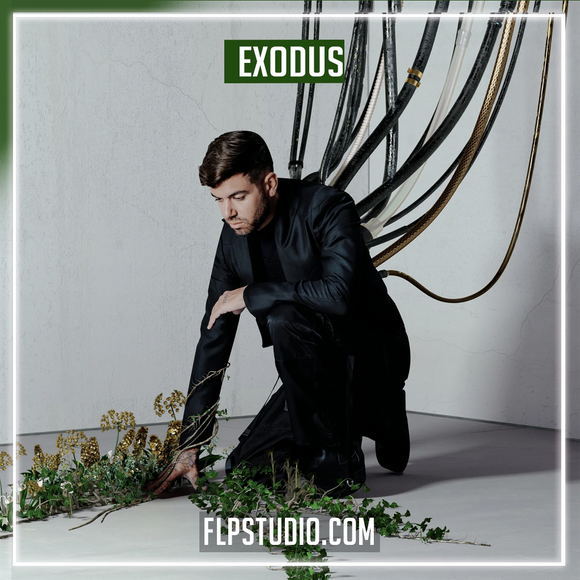 Anyma & Adam Sellouk - Exodus FL Studio Remake (Melodic House / Techno)