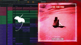 Cannons - Fire for You FL Studio Remake (Synthpop)