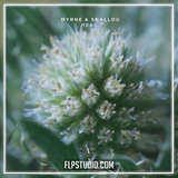 MYRNE & Shallou - Heal FL Studio Remake (Melodic House)