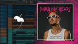 Robin Schulz - Smash my Heart FL Studio Remake (Dance)