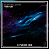 Silver Panda & Meyer - Freedom FL Studio Remake (Techno)