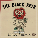 The Black Keys - No Rain, No Flowers (Diplo Remix) FL Studio Remake (Dance)