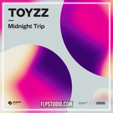 TOYZZ - Midnight Trip FL Studio Remake (Bass House)