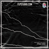 Vintage Culture - Tudo Bem, Tudo Bom FL Studio Remake (Tech House)