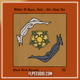 Walker & Royce, Nala - Not About You FL Studio Remake (House)