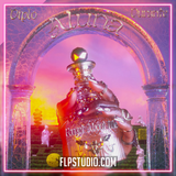 Aluna, Diplo & Durante - Forget About Me FL Studio Remake (Dance)