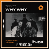 Dynoro, HVME & Gaudini - WHY WHY WHY FL Studio Remake (Dance)