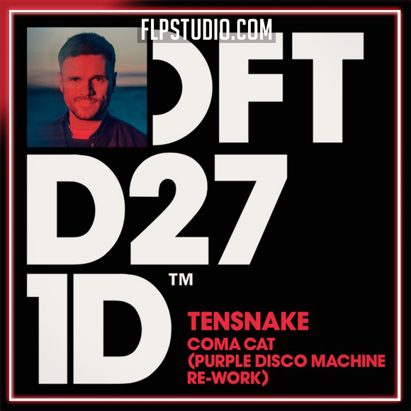 Tensnake - Coma Cat (Purple Disco Machine Extended Re Work) FL Studio Remake (Synthpop)