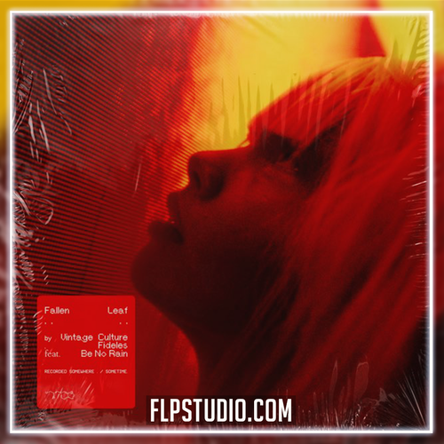 Vintage Culture & Fideles feat Be No Rain - Fallen Leaf FL Studio Remake (Techno)
