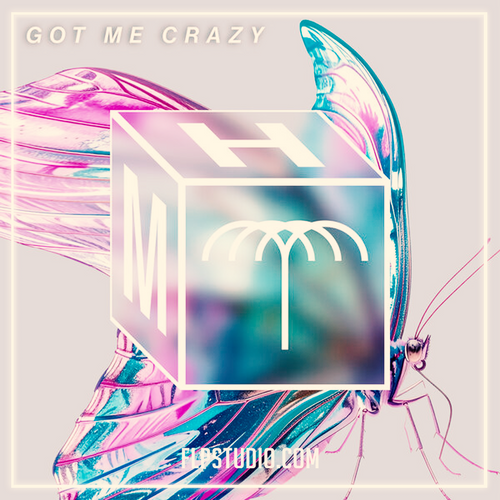 Adam Ten, Volkoder - Got Me Crazy FL Studio Remake (Indie Dance)