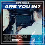 DJ Seinfeld, sogumm - Are You In? FL Studio Remake (House)