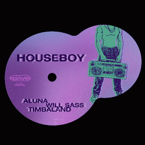 Aluna, Will Sass, Timbaland - Houseboy FL Studio Remake (House)