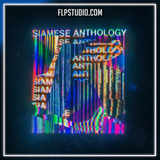 1926 & Animal Picnic & Fred Again - XX (Jungle Adriatique Mashup) FL Studio Remake (Mainstage)