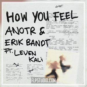 ANOTR, Erik Bandt, Leven Kali - How You Feel FL Studio Remake (Deep House)