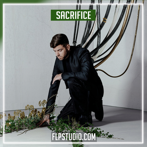 Anyma & PARISI - Sacrifice FL Studio Remake (Melodic House / Techno)