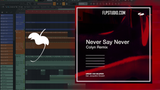 Armin van Buuren feat. Jacqueline Govaert - Never Say Never (Colyn Remix) FL Studio Remake (Techno)