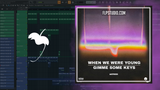 Matroda - Gimme Some Keys FL Studio Remake (Tech House)