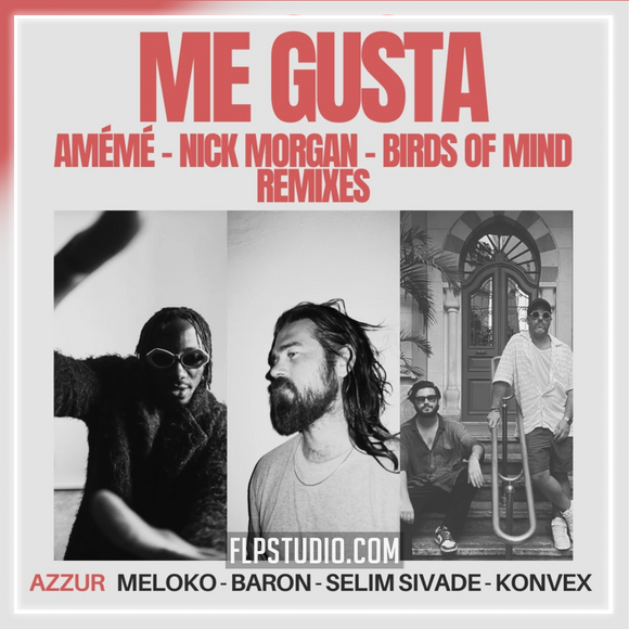 Meloko, Konvex (FR), Baron (FR), Selim Sivade, AZZUR - Me Gusta (Birds Of Mind Remix) FL Studio Remake (Melodic House)