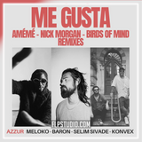 Meloko, Konvex (FR), Baron (FR), Selim Sivade, AZZUR - Me Gusta (Birds Of Mind Remix) FL Studio Remake (Melodic House)