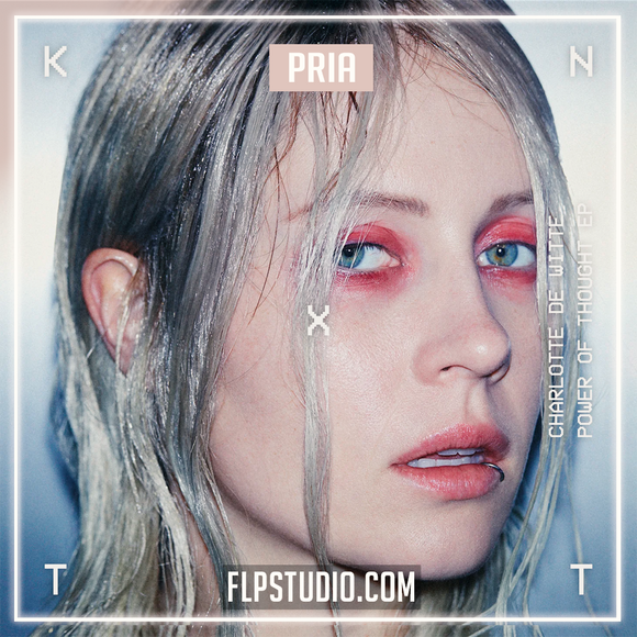 Charlotte de Witte - Pria FL Studio Remake (Techno)