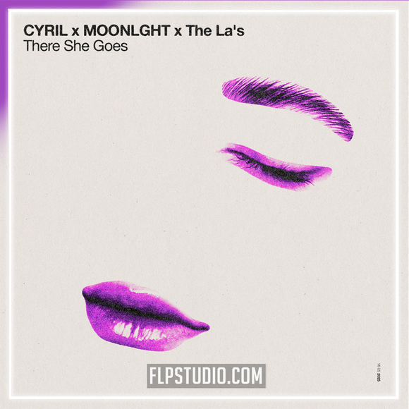 CYRIL, MOONLIGHT - There She Goes FL Studio Remake (Dance Pop)