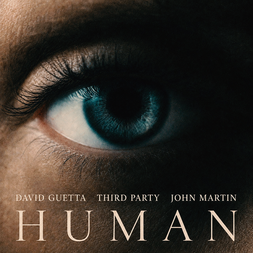 David Guetta, Third Party - Human (feat. John Martin) FL Studio Remake (Progressive House)