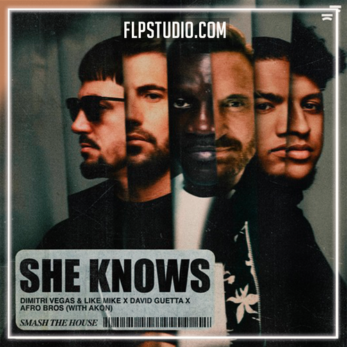 Dimitri Vegas & Like Mike, David Guetta, Afro Bros - She Knows [with Akon] FL Studio Remake (Dance)