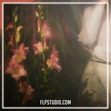 DJ HEARTSTRING - Back To My Love FL Studio Remake (Dance Pop)