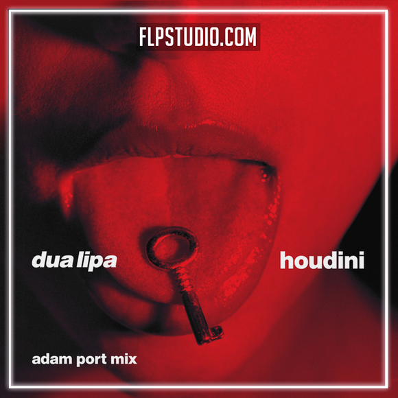 Dua Lipa - Houdini (Adam Port Remix) FL Studio Remake (Afro House)