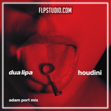 Dua Lipa - Houdini (Adam Port Remix) FL Studio Remake (Afro House)