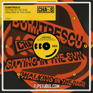 Dumitrescu - Sitting In The Sun (Walking In The Rain) FL Studio Remake (Dance Pop)