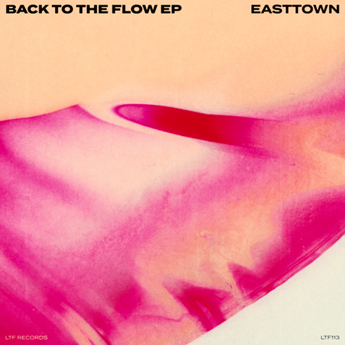 Easttown - Back To The Flow FL Studio Remake (House)
