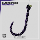 Fisher, bbyclose - Blackberries FL Studio Remake (Tech House)