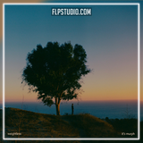 It's murph - Weightless FL Studio Remake (Dance Pop)