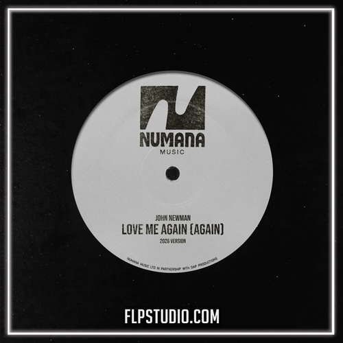 John Newman - Love Me Again (Again) (FL Studio Remake)