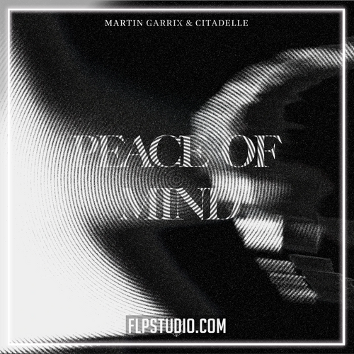 Martin Garrix & Citadelle - Peace Of Mind FL Studio Remake (Dance Pop)