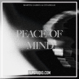 Martin Garrix & Citadelle - Peace Of Mind FL Studio Remake (Dance Pop)