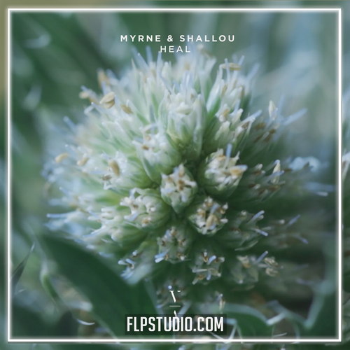 MYRNE & Shallou - Heal FL Studio Remake (Melodic House)