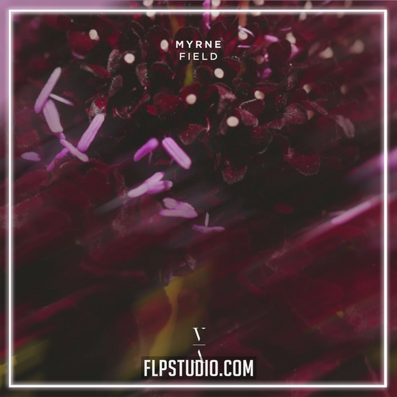 MYRNE - Field FL Studio Remake (Dance)