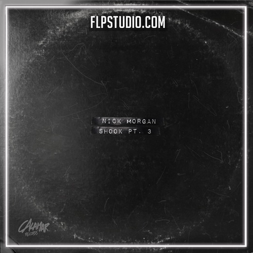Nick Morgan - Shook Part 3 FL Studio Remake (House)