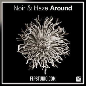 Noir & Haze - Around (Solomun Vox Mix) FL Studio Remake (Deep House)