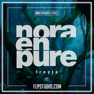 Nora En Pure - Freyja FL Studio Remake (Techno / Melodic House)