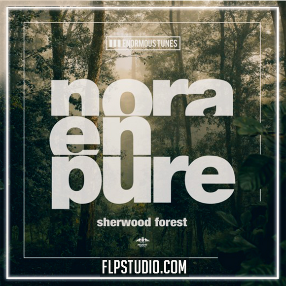 Nora En Pure - Sherwood Forest (Club Mix) FL Studio Remake (Techno)