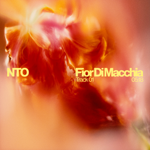 NTO - Fior Di Macchia FL Studio Remake (Melodic House)