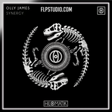 Olly James - Synergy FL Studio Remake (Techno)