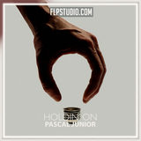 Pascal Junior - Holdin On FL Studio Remake (Dance)