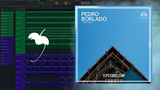 Pedro Borlado - First Light FL Studio Remake (House)