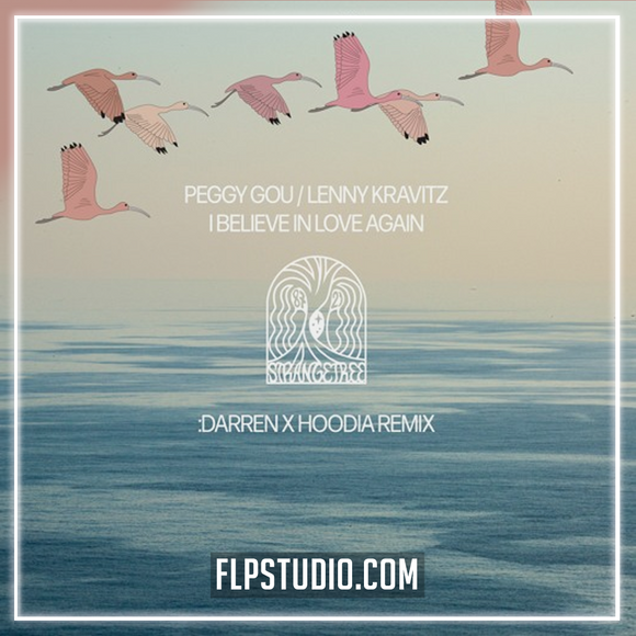 Peggy Gou, Lenny Kravitz - I Believe In Love Again (:DARREN X Hoodia Remix) FL Studio Remake (Afro House)