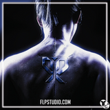 Pirapus - WERK FL Studio Remake (Drum & Bass)