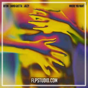 Riton, David Guetta, Jozzy - Where You Want FL Studio Remake (Dance)
